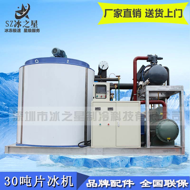 30噸大型工業片冰機